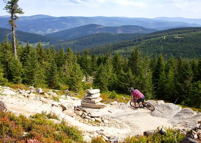 Czarna Gora 331 Sienna (Klodzko)