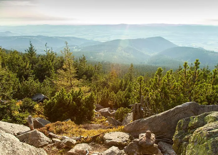 Czarna Gora 331 3* Sienna (Klodzko)